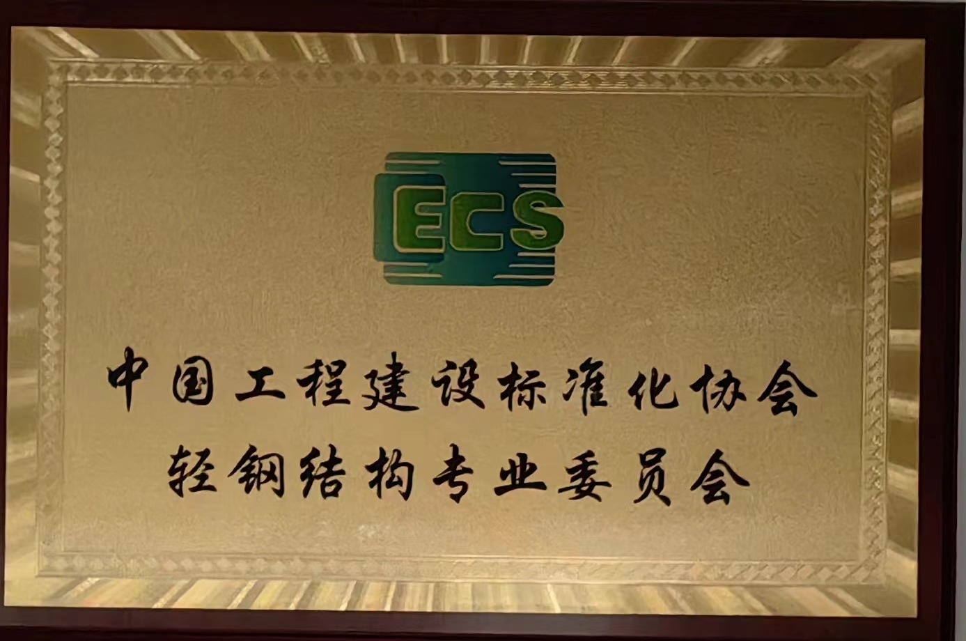 中国工程建设标准化协会轻钢结构专业委员会